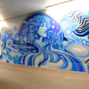 p huset anna spaceism