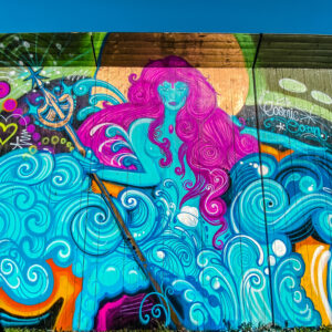 trafikverket Dan Sapunar